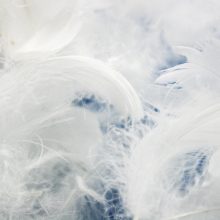 Federn Bettdecke Reinigung