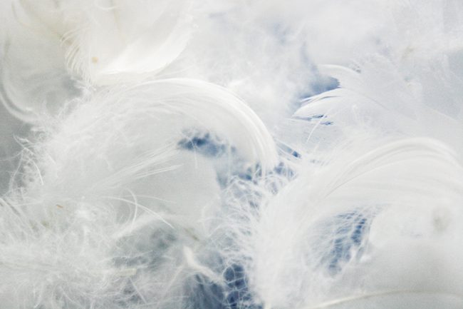 Federn Bettdecke Reinigung