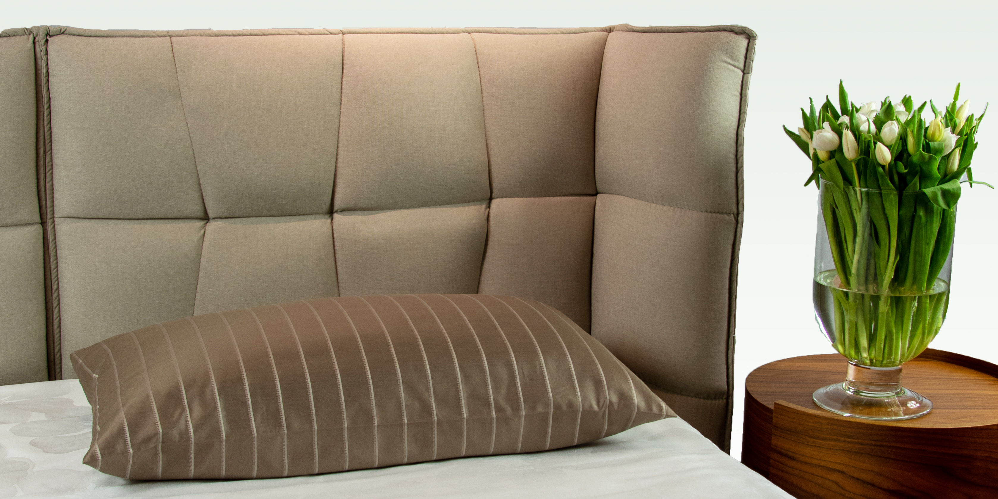 IMG_3830 mit grün-beigen Hintergrund